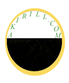 Akirill.com.logo