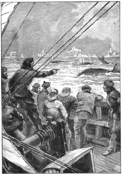 “There, look there! That’s a fin-back!”