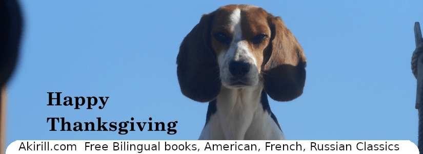 Joyeux Thanksgiving, un corbeau attentionné et quelques&nbsp;photos