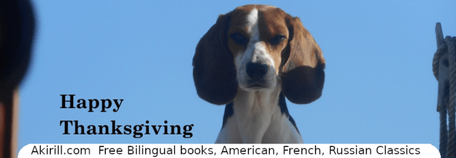 Joyeux Thanksgiving, un corbeau attentionné et quelques&nbsp;photos