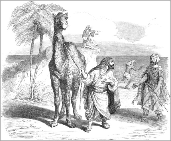 LE CHAMEAU ET LES BATONS FLOTTANTS