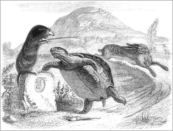LE LIÈVRE ET LA TORTUE