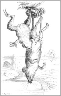 LA GRENOUILLE ET LE RAT