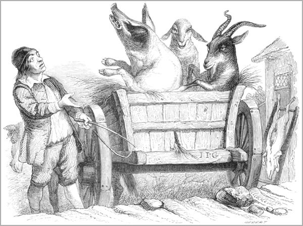 LE COCHON, LA CHÈVRE ET LE MOUTON
