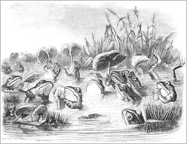 LE SOLEIL ET LES GRENOUILLES