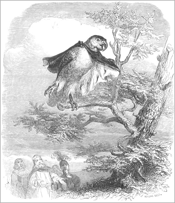 LES DEUX PERROQUETS, LE ROI ET SON FILS