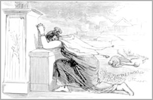 LA LIONNE ET L’OURSE