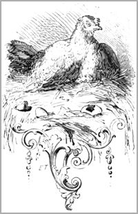 LA POULE AUX ŒUFS D’OR