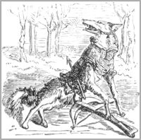 LE RENARD, LES MOUCHES ET LE HÉRISSON