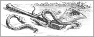 LE VILLAGEOIS ET LE SERPENT