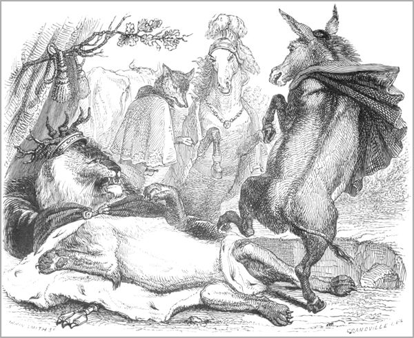 LE LION DEVENU VIEUX