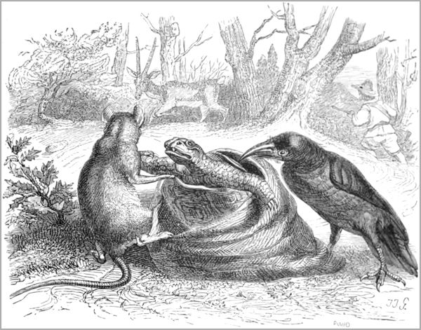 LE CORBEAU, LA GAZELLE, LA TORTUE ET LE RAT