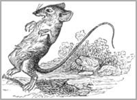 LE RAT ET L’ÉLÉPHANT