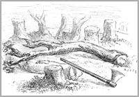 LA FORÊT ET LE BUCHERON