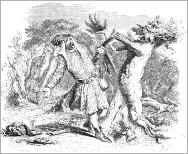 LA FORÊT ET LE BUCHERON