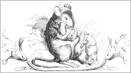 LE CHAT, LA BELETTE ET LE PETIT LAPIN