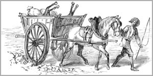 LE CHEVAL ET L’ANE