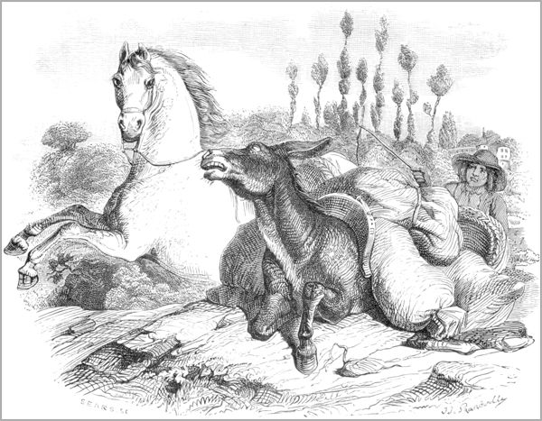 LE CHEVAL ET L’ANE