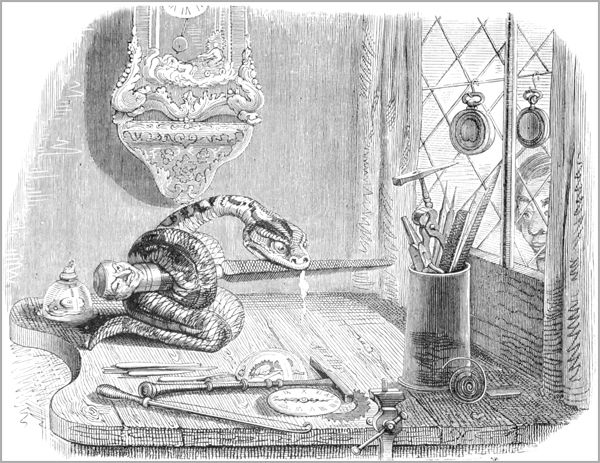 LE SERPENT ET LA LIME