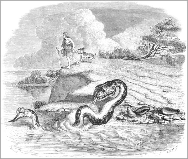 LA TÊTE ET LA QUEUE DU SERPENT