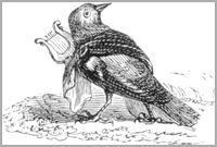 LE PAON SE PLAIGNANT A JUNON