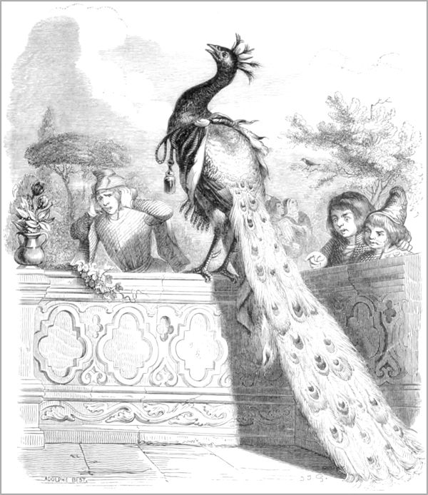 LE PAON SE PLAIGNANT A JUNON