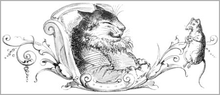 LA CHATTE MÉTAMORPHOSÉE EN FEMME