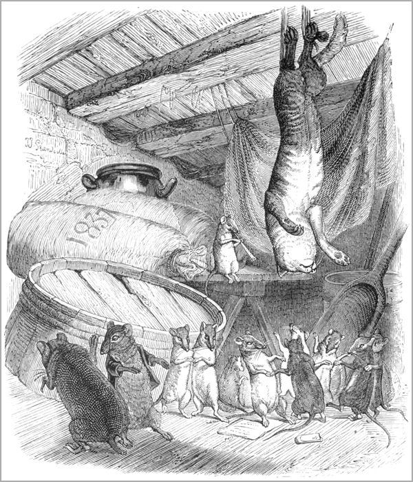 LE CHAT ET LE VIEUX RAT