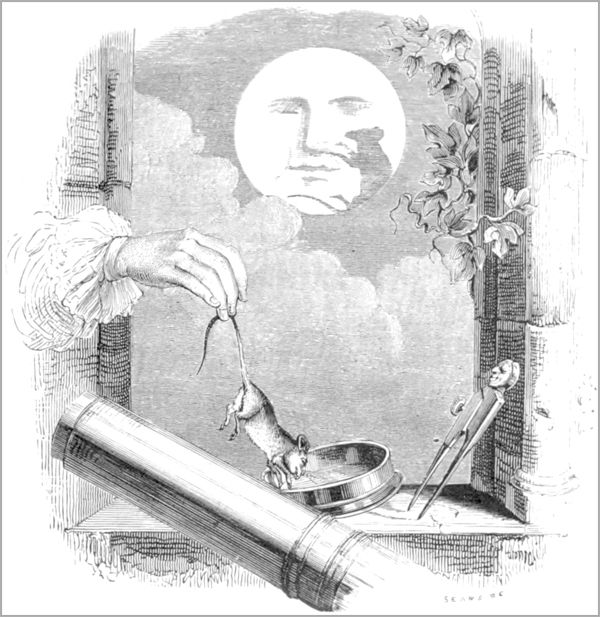 UN ANIMAL DANS LA LUNE