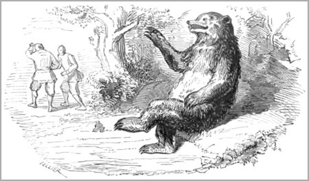 L’OURS ET LES DEUX COMPAGNONS