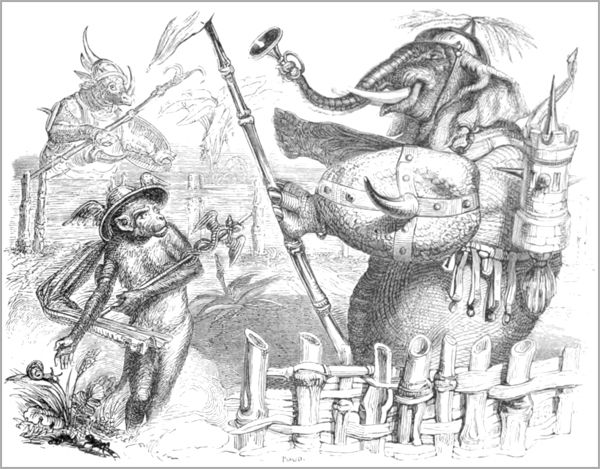 L’ÉLÉPHANT ET LE SINGE DE JUPITER
