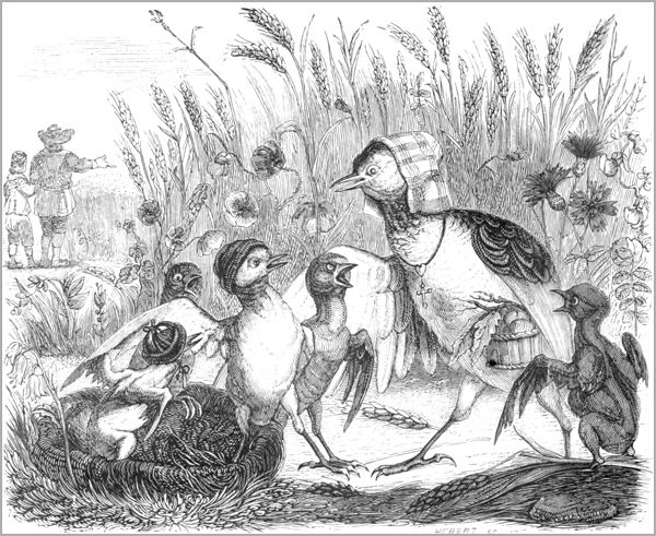 L’ALOUETTE ET SES PETITS, AVEC LE MAITRE D’UN CHAMP