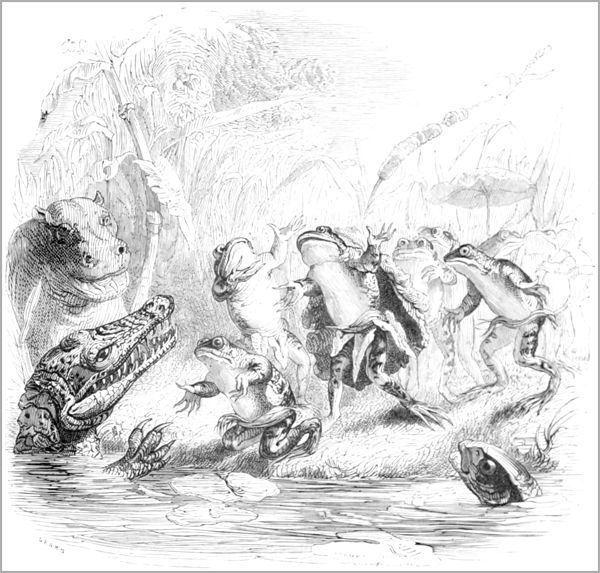 LE SOLEIL ET LES GRENOUILLES