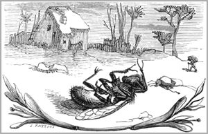 LA MOUCHE ET LA FOURMI