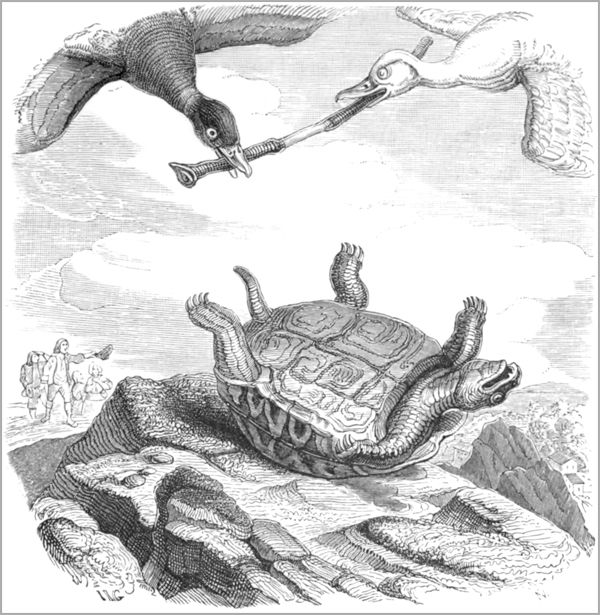 LA TORTUE ET LES DEUX CANARDS