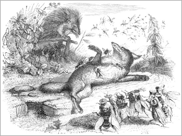 LE RENARD, LES MOUCHES ET LE HÉRISSON