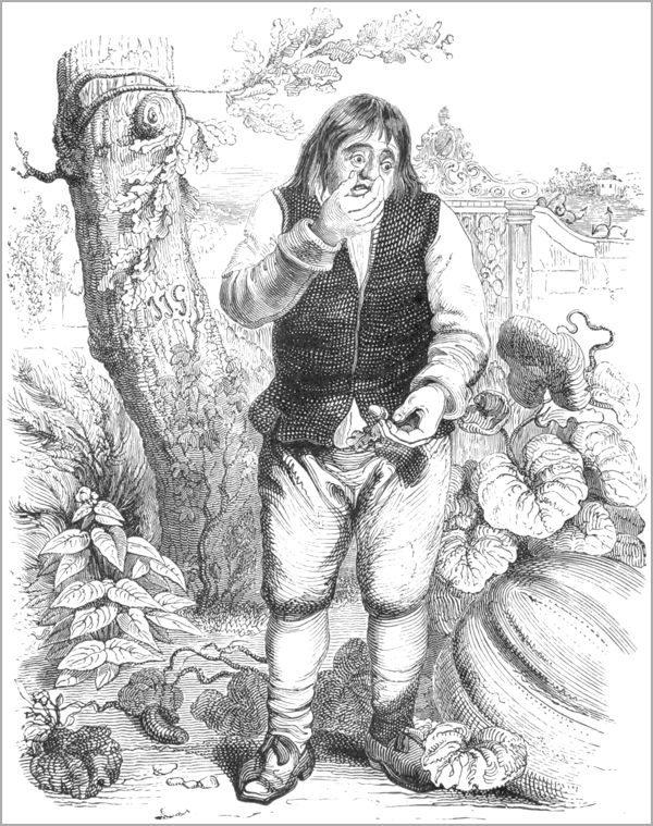 LE GLAND ET LA CITROUILLE