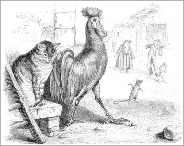 LE COCHET, LE CHAT ET LE SOURICEAU