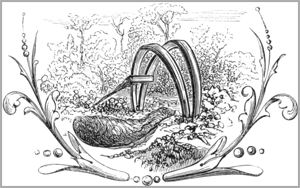 LE RENARD AYANT LA QUEUE COUPÉE