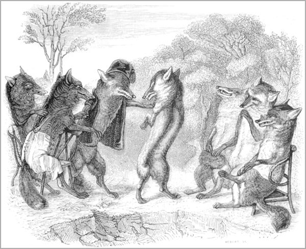 LE RENARD AYANT LA QUEUE COUPÉE