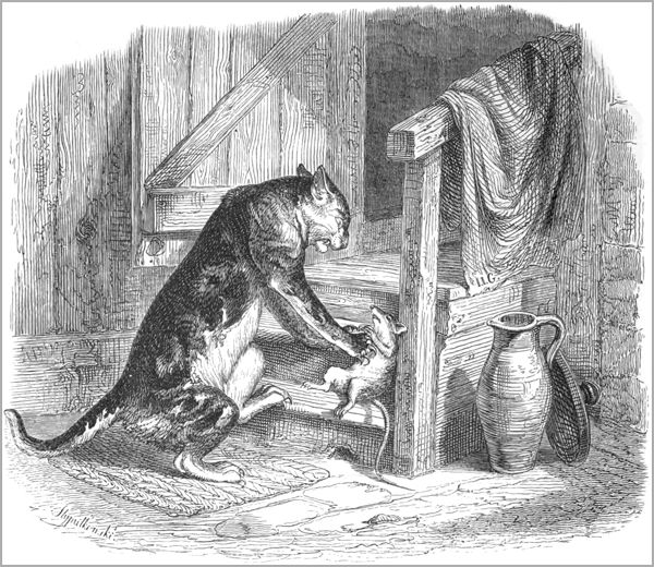 LE VIEUX CHAT ET LA JEUNE SOURIS