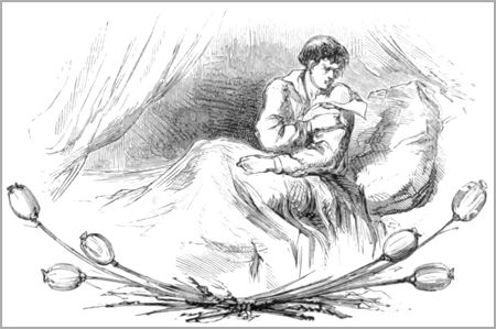 L’HOMME ET LA PUCE.