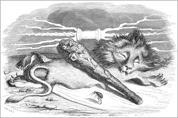 L’HOMME ET LA PUCE.