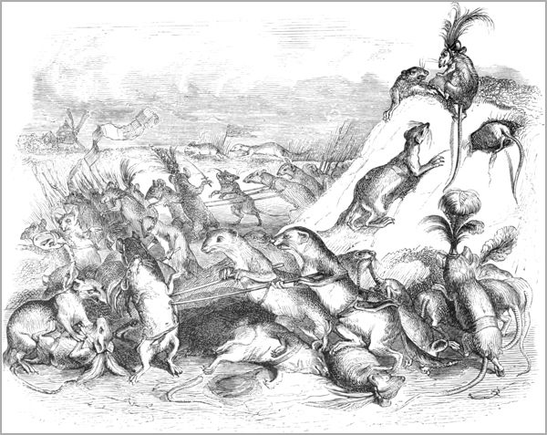 LE COMBAT DES RATS ET DES BELETTES
