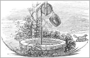 LE LOUP ET LE RENARD