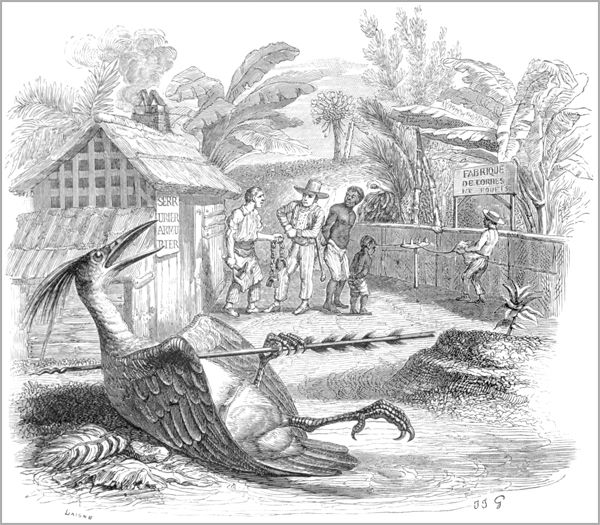 L’OISEAU BLESSÉ D’UNE FLÈCHE