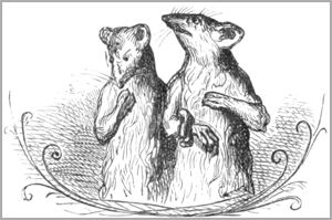 LA SOURIS MÉTAMORPHOSÉE EN FILLE