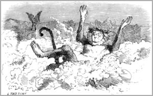 LE SINGE ET LE DAUPHIN