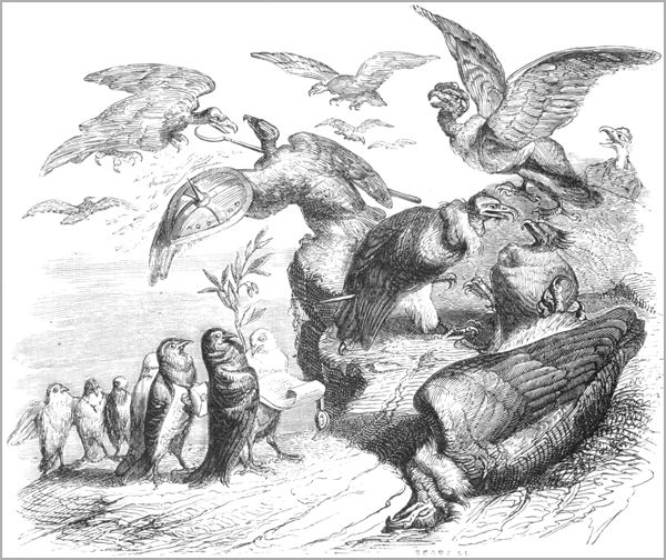 LES VAUTOURS ET LES PIGEONS