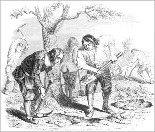 LE LABOUREUR ET SES ENFANTS